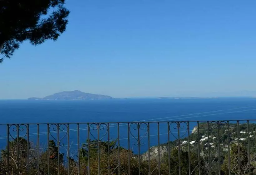 اتاق استاندارد با تراس و چشم‌انداز دریا, Le Ginestre Di Capri Bb & Holiday House