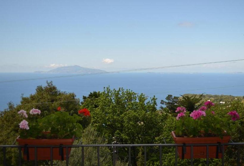 غرفة قياسية رباعية مطلة على البحر, Le Ginestre Di Capri Bb & Holiday House