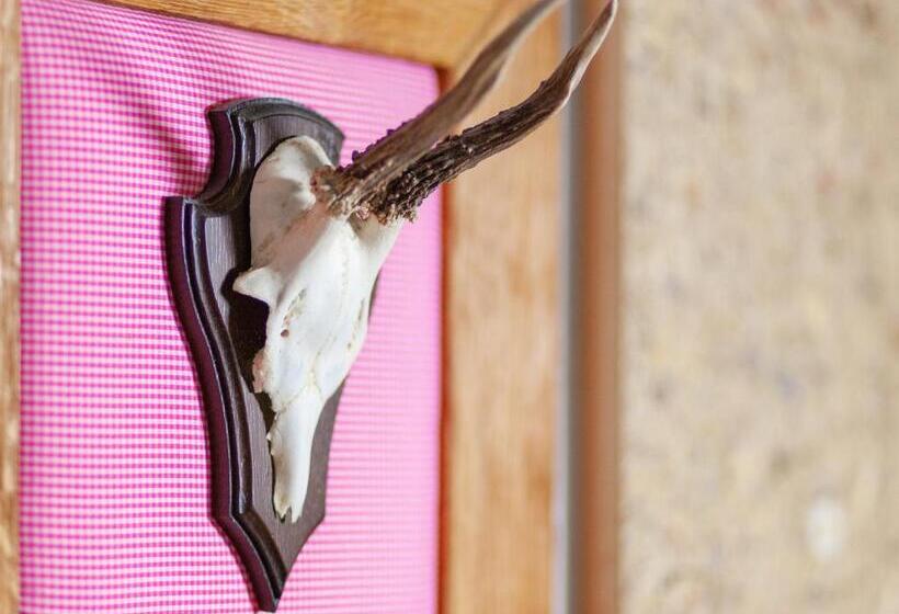 סטודיו משפחתי, Pension Vitalis