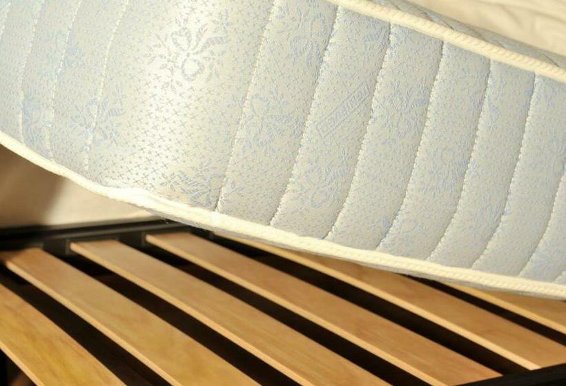 スタンダードシングルルーム, Romagna