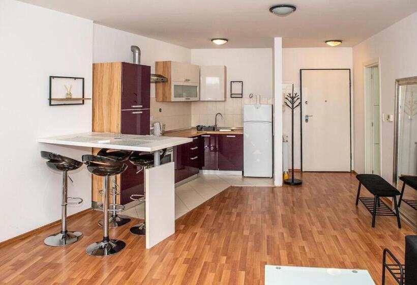 Appartement Supérieur 1 Chambre, Amfiteatar