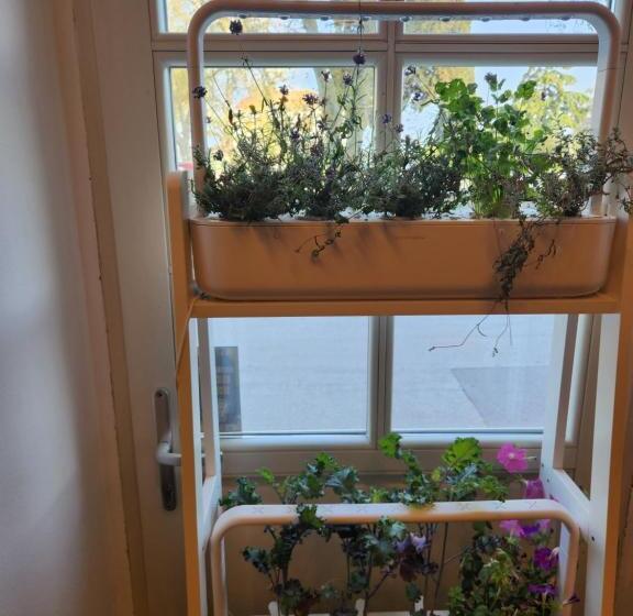 스탠다드 싱글 룸, Amfiteatar