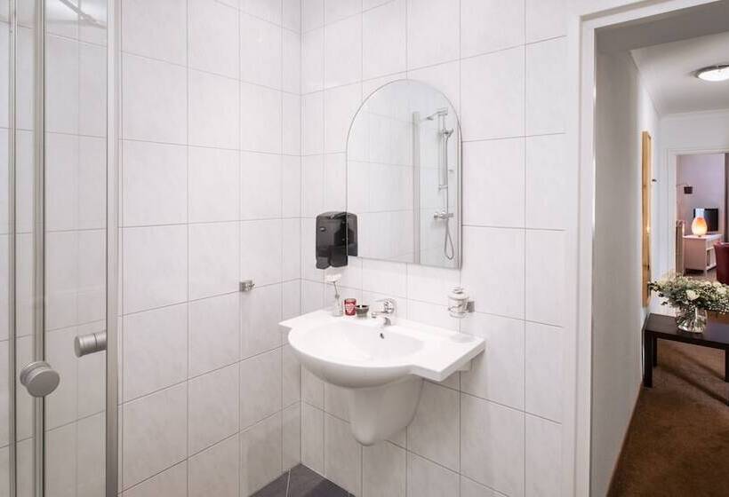 Апартаменты 1 Спальня, Appartementen Valkenburg