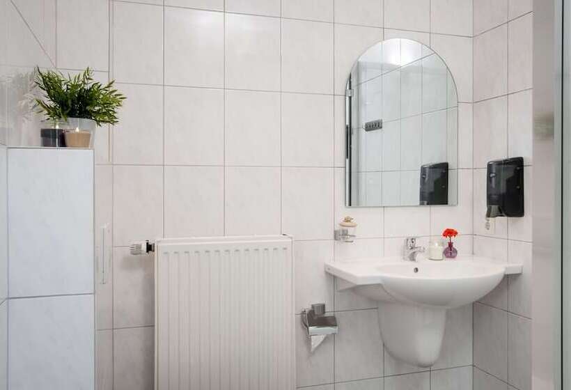 آپارتمان 1 خوابه, Appartementen Valkenburg