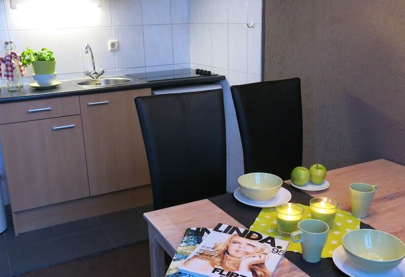 آپارتمان 1 خوابه, Appartementen Valkenburg