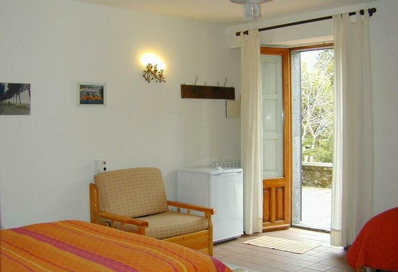 スタンダードトリプルルーム, Case Zuccaro