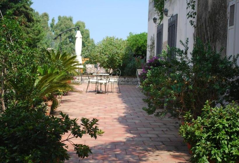 スタンダードトリプルルーム, Case Zuccaro