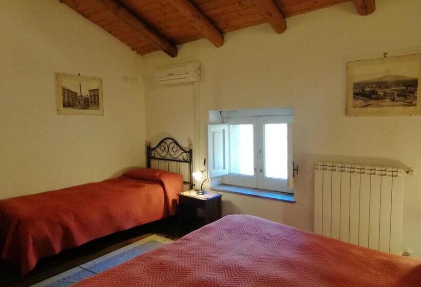 スタンダードルーム, Case Zuccaro