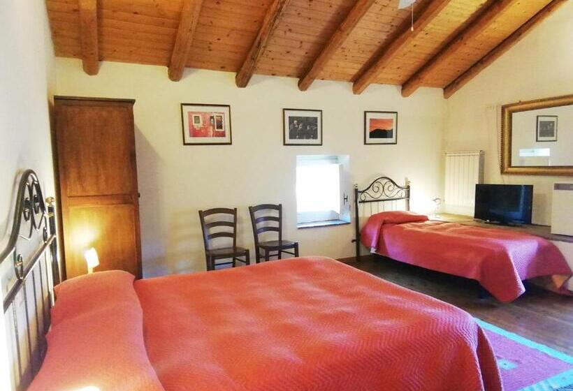 スタンダードトリプルルーム, Case Zuccaro