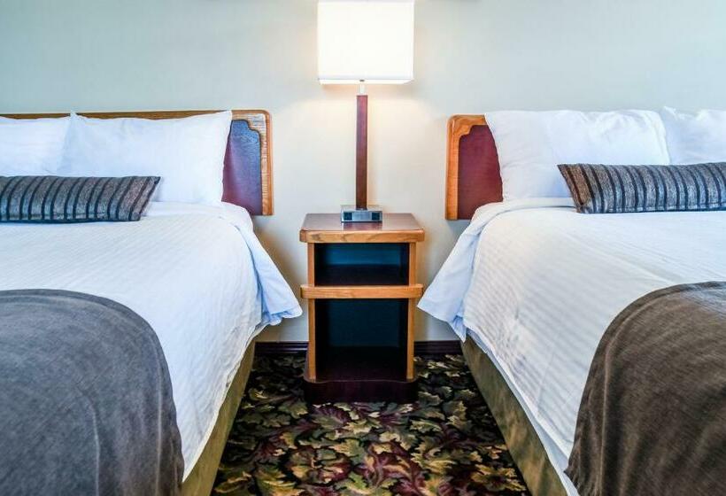 Standart Oda, Creston