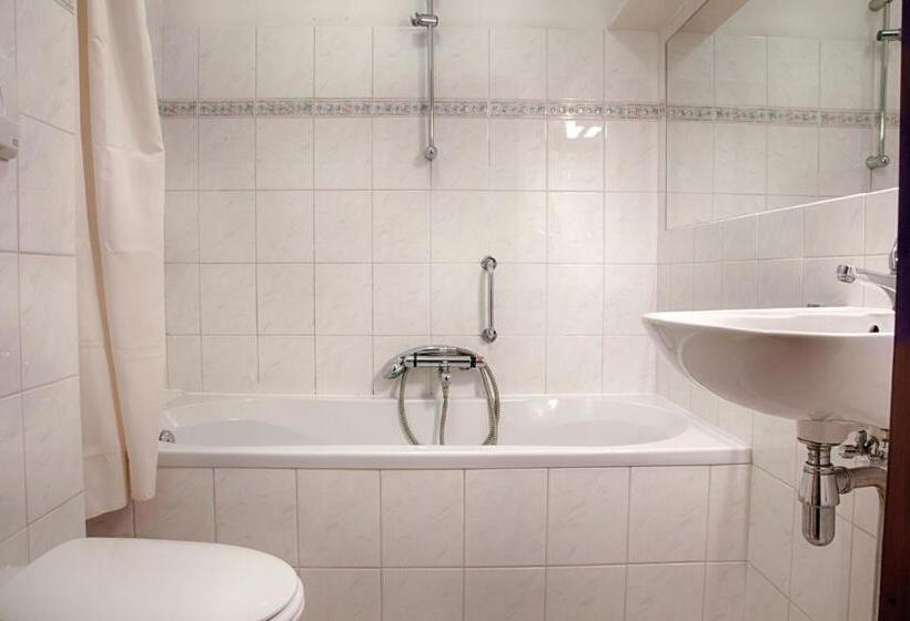 Люкс, Hanzestadslogement De Leeuw, In Het Centrum, Met Een Binnenplaats, Kamers Met Badkamer En Toilet En