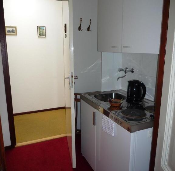 套房, Hanzestadslogement De Leeuw, In Het Centrum, Met Een Binnenplaats, Kamers Met Badkamer En Toilet En