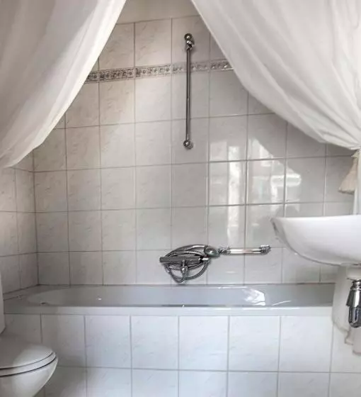 سوئیت با تخت بزرگ, Hanzestadslogement De Leeuw, In Het Centrum, Met Een Binnenplaats, Kamers Met Badkamer En Toilet En