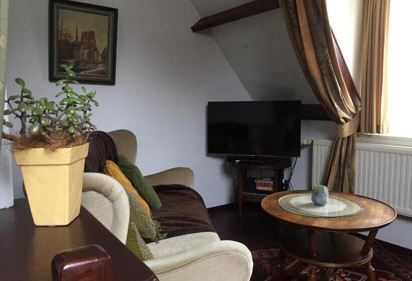 带大床的套房, Hanzestadslogement De Leeuw, In Het Centrum, Met Een Binnenplaats, Kamers Met Badkamer En Toilet En