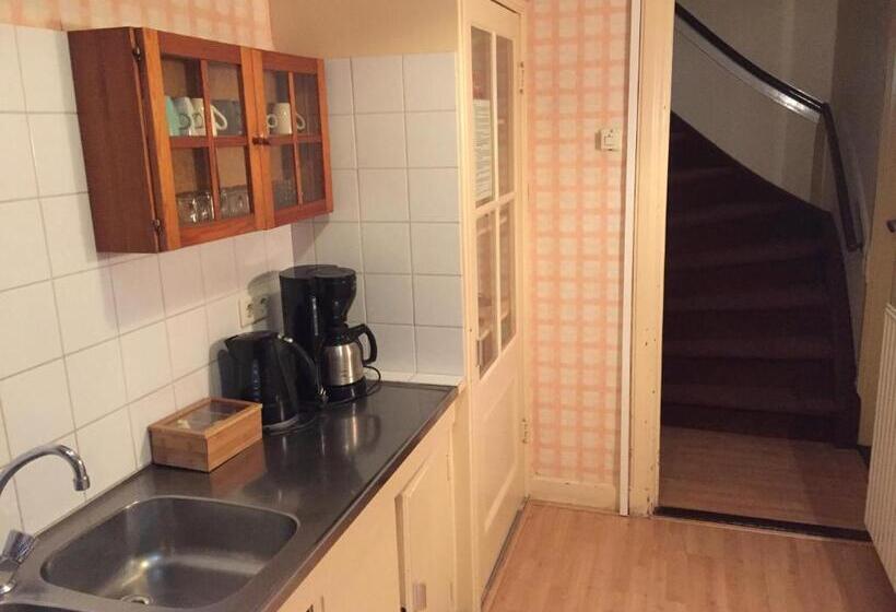 家庭公寓, Hanzestadslogement De Leeuw, In Het Centrum, Met Een Binnenplaats, Kamers Met Badkamer En Toilet En