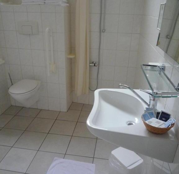Номер Стандарт, Hanzestadslogement De Leeuw, In Het Centrum, Met Een Binnenplaats, Kamers Met Badkamer En Toilet En