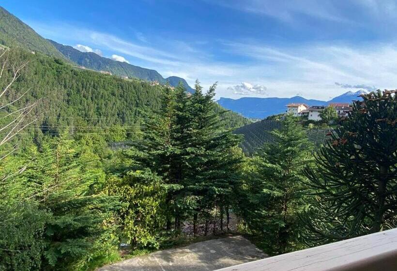 带阳台的三人标准间, Laimerhof