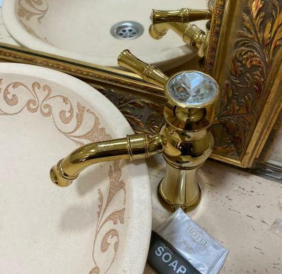 سوییت خانوادگی, Lion