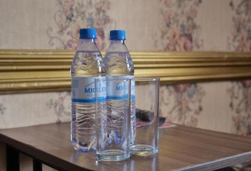 اتاق عادی, Lion