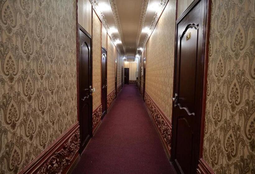 اتاق اکونومی, Lion