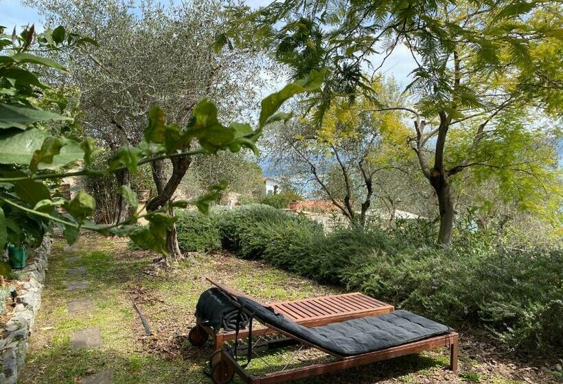 آپارتمان 1 خوابه با چشمانداز دریا, Miramare Apartments&suites