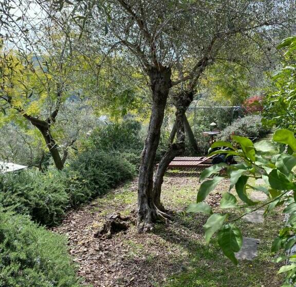 آپارتمان 1 خوابه با چشمانداز دریا, Miramare Apartments&suites