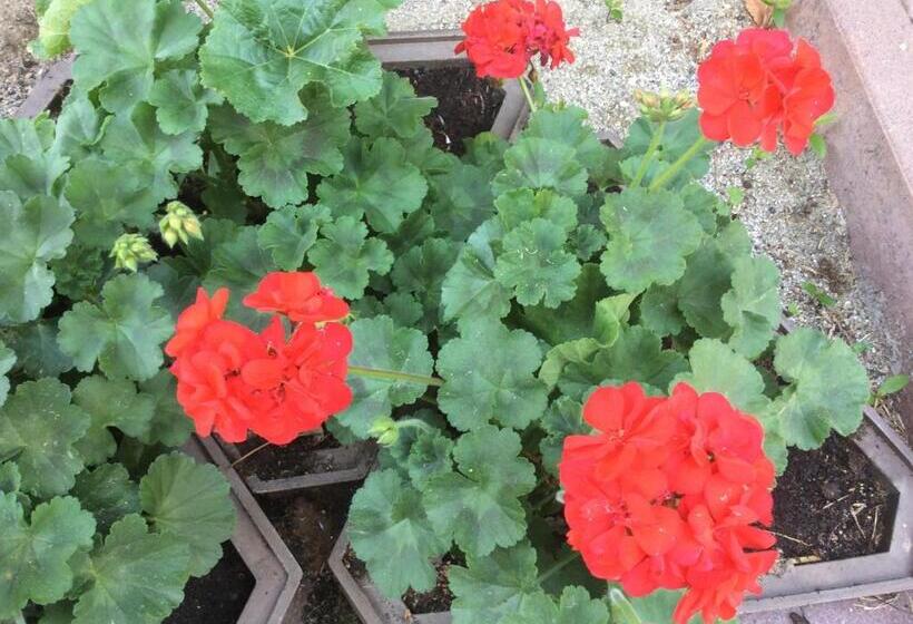 דירה בת חדר שינה 1 עם מרפסת, Panorama Residence Schlossblick