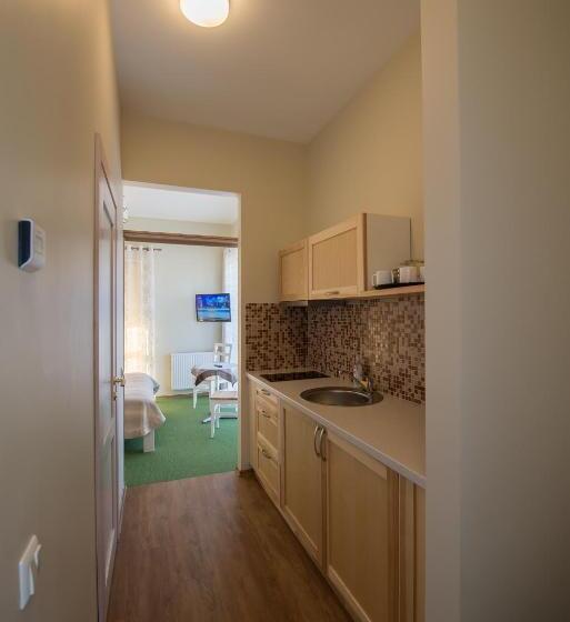 آپارتمان 1 خوابه با تراس, Vila Levita