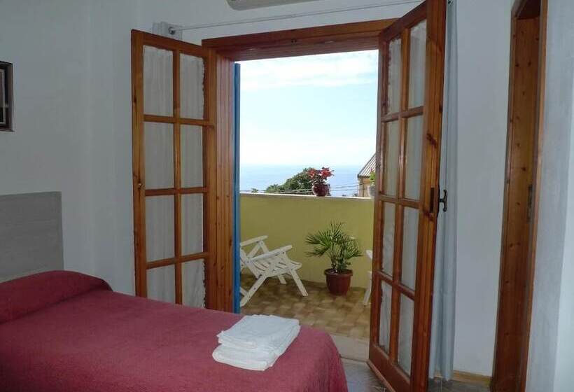 Номер Стандарт, Alexander