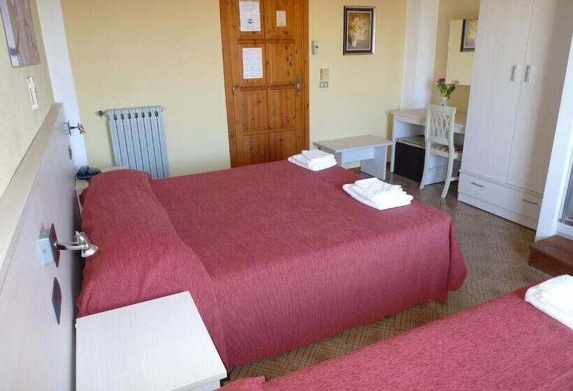 Номер Стандарт, Alexander