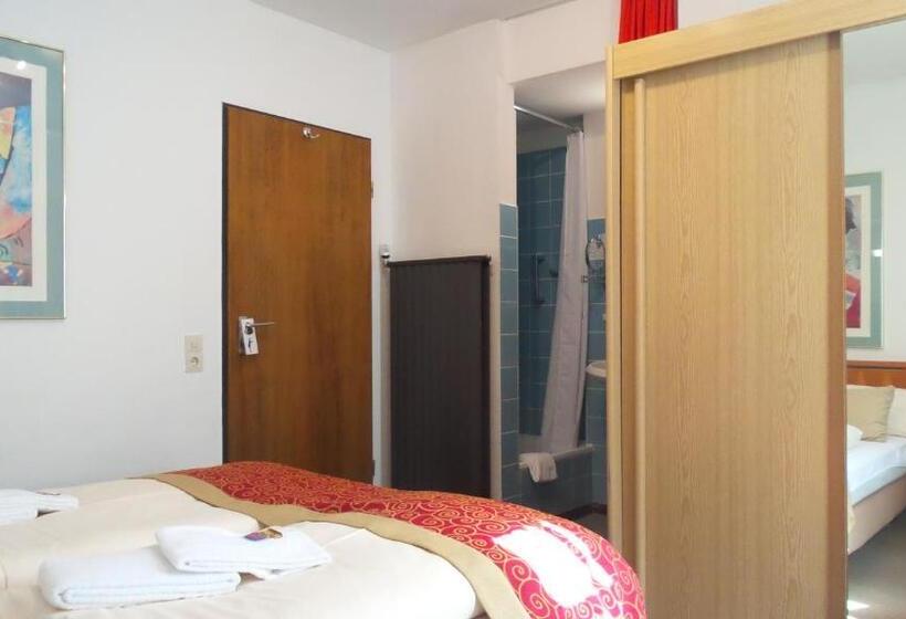 스탠다드 룸 공동 욕실, Alt Montjoie