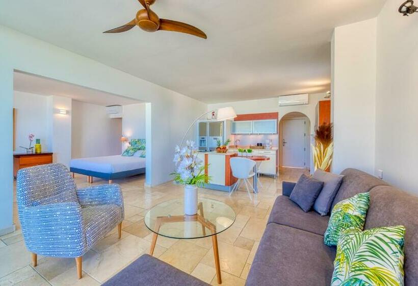آپارتمان 1 خوابه با چشم‌انداز دریا, Le Domaine Anse Marcel Beach Resort