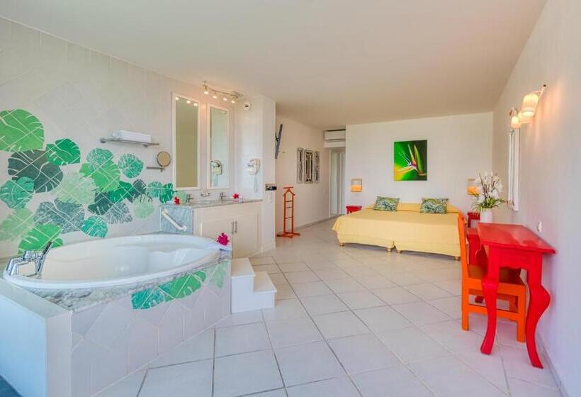 استودیوی استاندارد با چشم‌انداز دریا, Le Domaine Anse Marcel Beach Resort