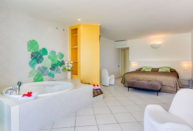 オーシャンビューデラックススイート, Le Domaine Anse Marcel Beach Resort