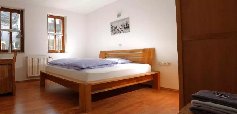Superior Yhden Hengen Huone, Aparthotel Pumpengasse