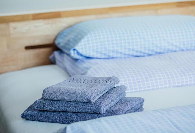 اتاق اکونومی یک تخته, Aparthotel Pumpengasse