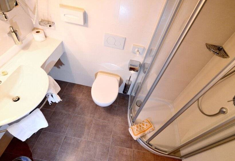 Номер Стандарт Индивидуальный, Brunnerhof