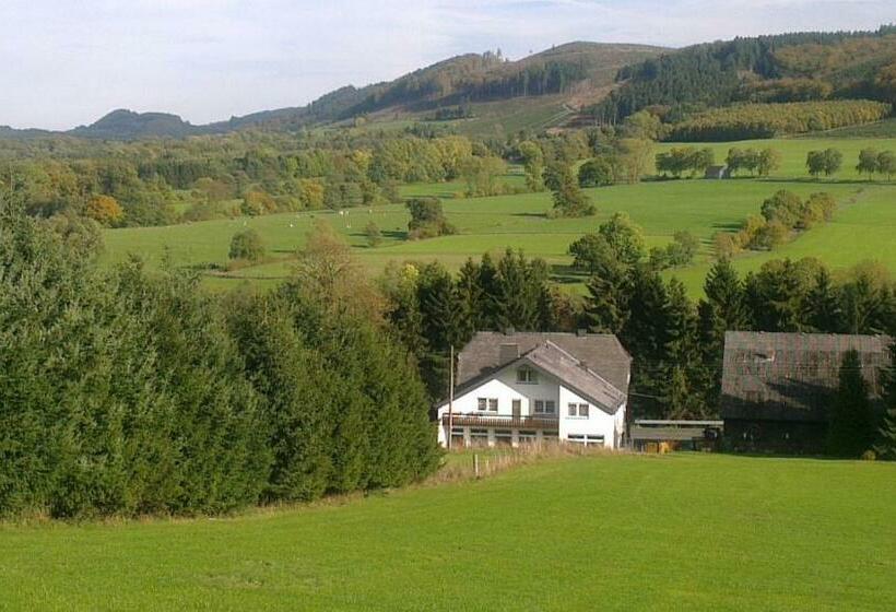 חדר סטנדרט עם מרפסת, Hennetaler Hof