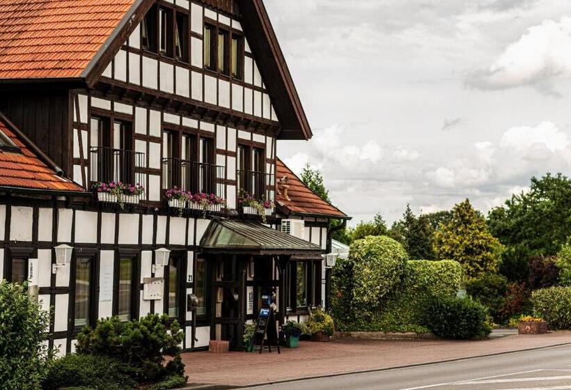 标准间, Lingemann