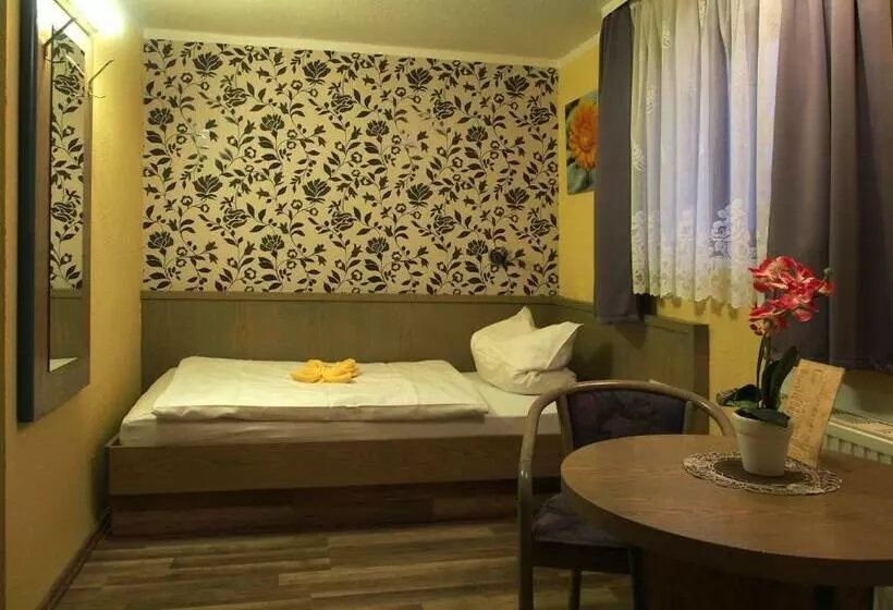 スタンダードシングルルーム, Pension Ottendorf Okrilla