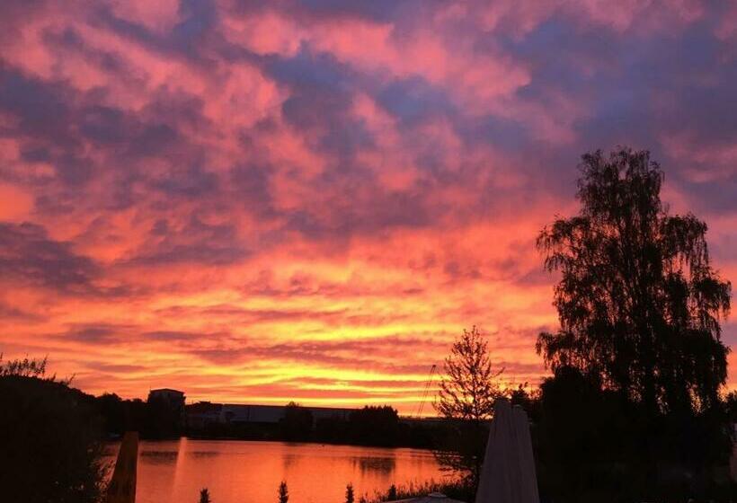 חדר סטנדרט יחיד, Seehotel Forst