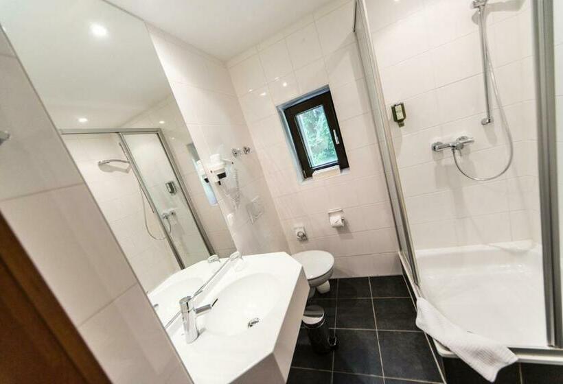 غرفة قياسية فردية, Seehotel & Restaurant Die Ente