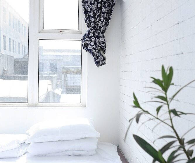 스탠다드 트리플 룸, Alley Youth Hostel