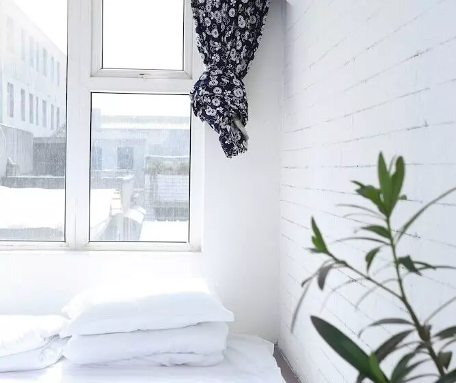 Standard Kolmen Hengen Huone, Alley Youth Hostel