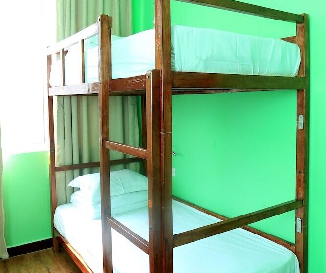 공동 객실, Alley Youth Hostel