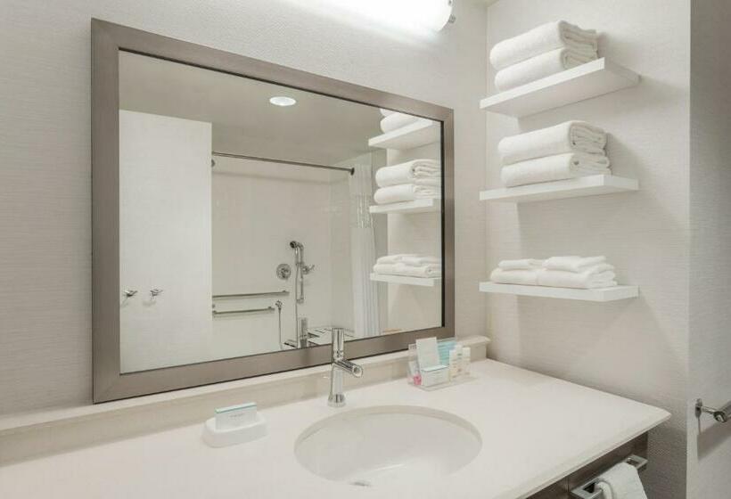 Номер Стандарт Кровать Кинг Адаптированный для Инвалидов, Hampton Inn & Suites West Des Moines/sw Mall Area