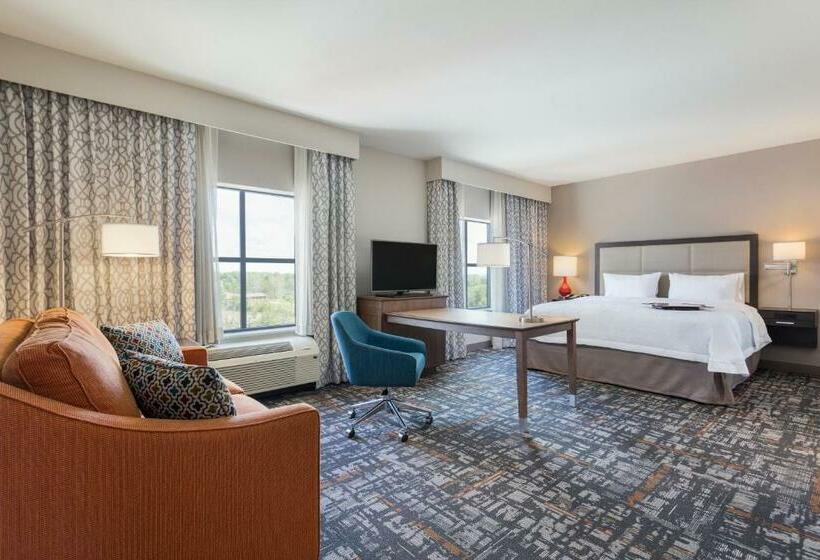إستوديو قياسى سرير كينج, Hampton Inn & Suites West Des Moines/sw Mall Area