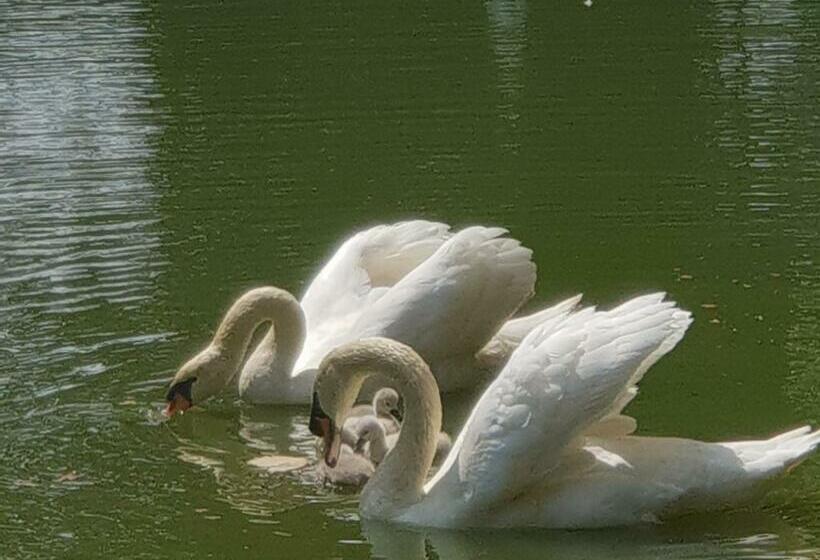 Номер Стандарт, Landhuis 't Wilgenerf