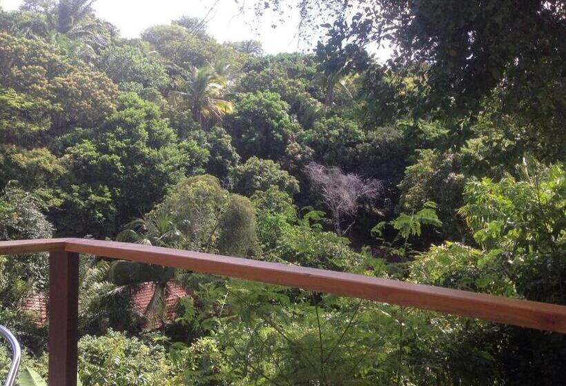 استودیو استاندارد با چشمانداز دریا, Pousada Aquarela