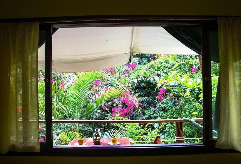 استودیو خانوادگی, Pousada Aquarela